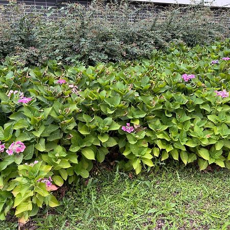 Jardins De La Noue Lägenhet Villeneuve-la-Garenne Exteriör bild