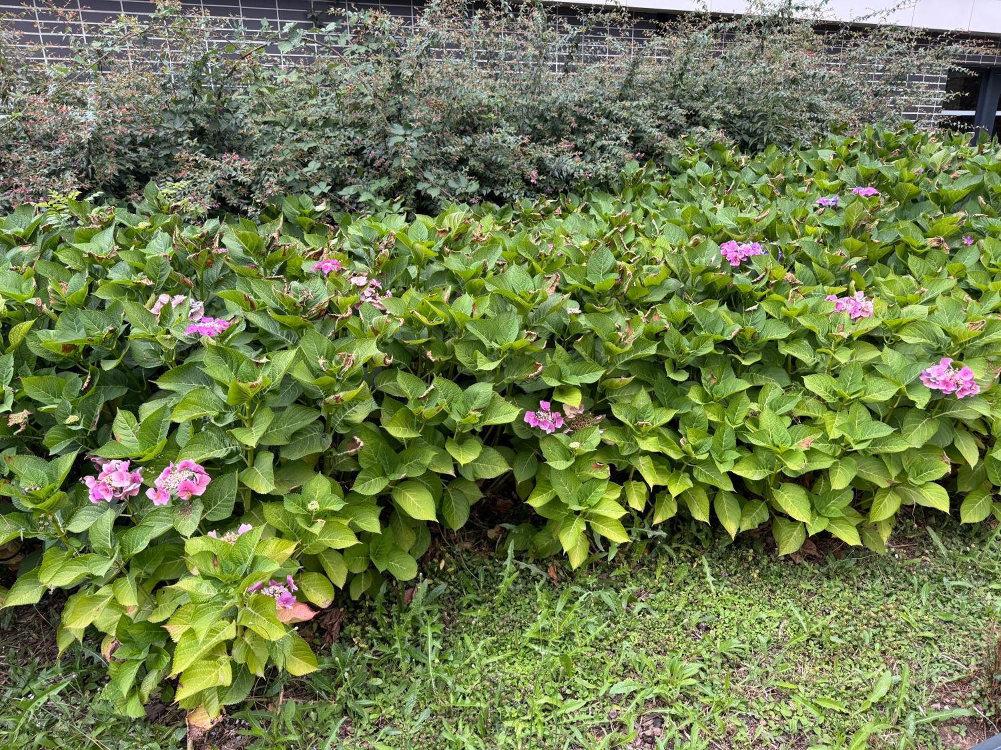 Jardins De La Noue Lägenhet Villeneuve-la-Garenne Exteriör bild